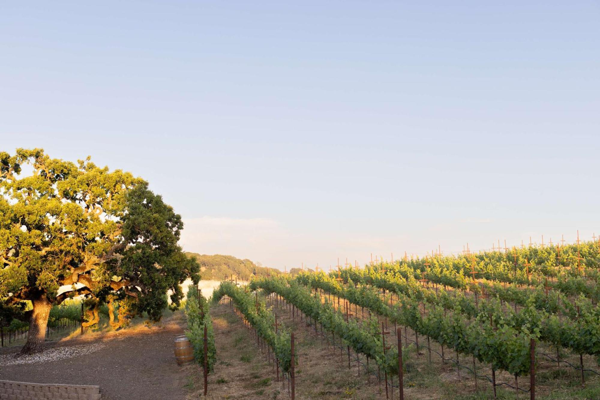 The Meritage Resort And Spa Napa Exterior photo